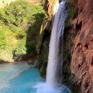 Meet your Posher, Frances